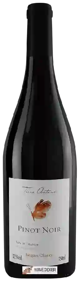 Winery Jacques Charlet - Terra Occitana Pinot Noir Winery Jacques Charlet - Terra Occitana Pinot Noir