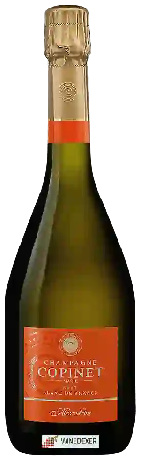 Winery Copinet - Alexandrine Blanc de Blancs Brut Champagne