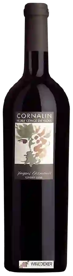 Winery Jacques Germanier - Cornalin