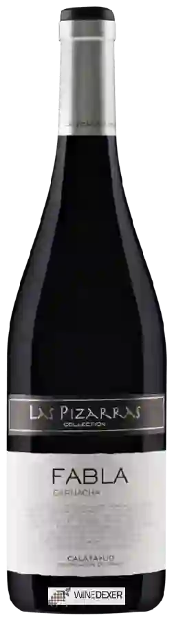 Bodegas y Viñedos del Jalón - Las Pizarras Collection Fabla