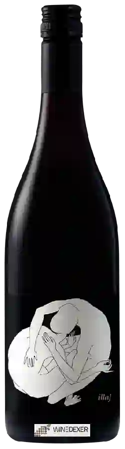 Winery Jamsheed - Illaj Pinot Noir