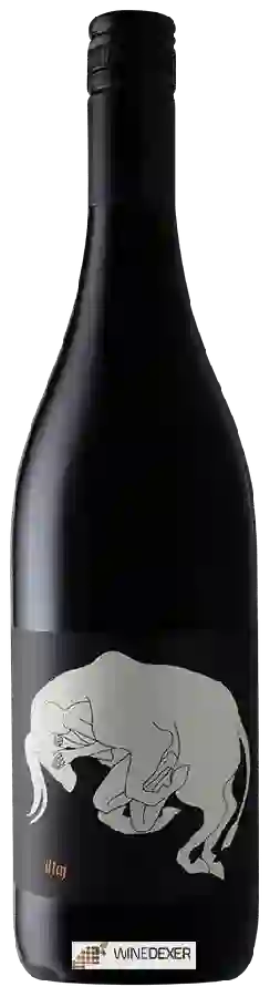 Winery Jamsheed - Illaj Syrah