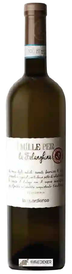 Winery La Guardiense - I Mille Per Falanghina