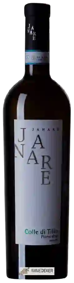 Winery La Guardiense - Janare Colle di Tilio Sannio Fiano