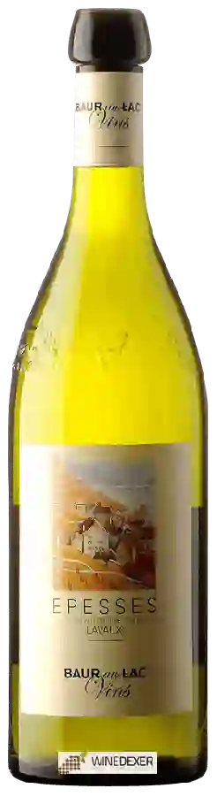 Winery J&M Dizerens - Epesses Baur au Lac