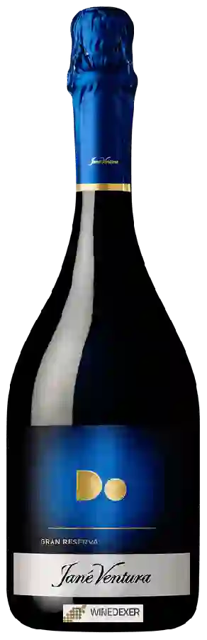 Winery Jané Ventura - Do Gran Reserva Winery Jané Ventura - Do Gran Reserva