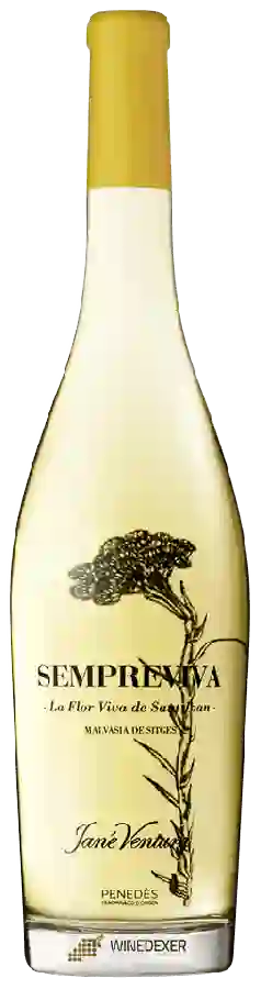 Winery Jané Ventura - Sempreviva Malvasia de Sitges