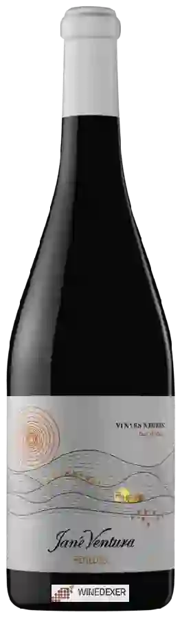 Winery Jané Ventura - Vinyes Negres