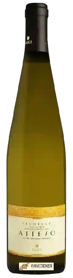 Winery Jasci - Atteso Pecorino Terre di Chieti