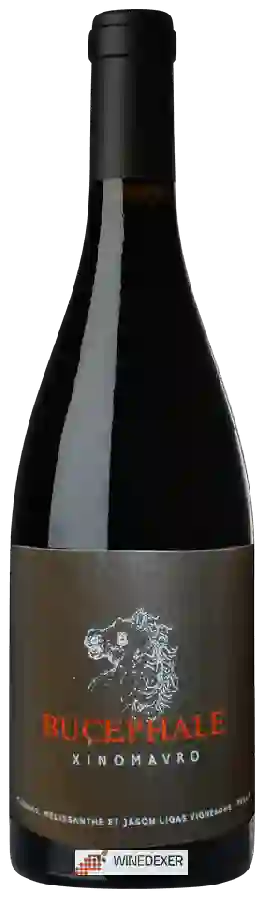 Winery Ktima Ligas - Bucephale Winery Ktima Ligas - Bucephale