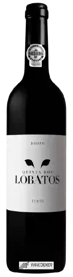 Winery Quinta do Javali - Lobatos Winery Quinta do Javali - Lobatos