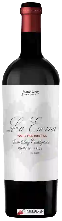 Winery Javier Sanz Viticultor - Bruñal