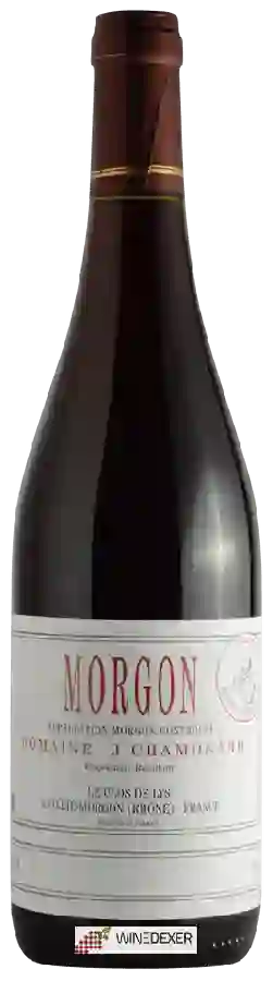 Winery J. Chamonard - Morgon