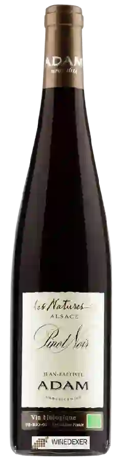 Winery Jean-Baptiste Adam - Les Natures Pinot Noir Winery Jean-Baptiste Adam - Les Natures Pinot Noir