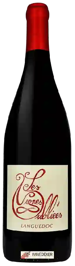 Winery Les Vignes Oubliées - Languedoc