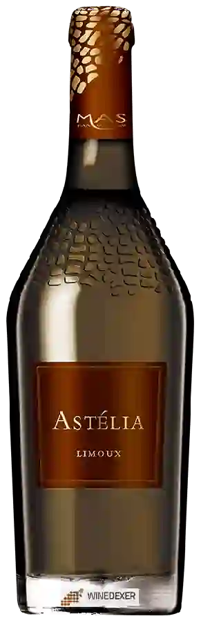 Winery Jean Claude Mas - Astélia Limoux Winery Jean Claude Mas - Astélia Limoux