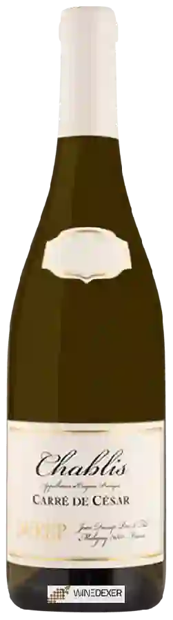 Winery Jean Durup - Carré de César Chablis