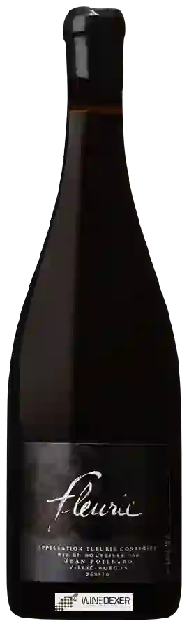 Winery Jean Foillard - Fleurie Winery Jean Foillard - Fleurie