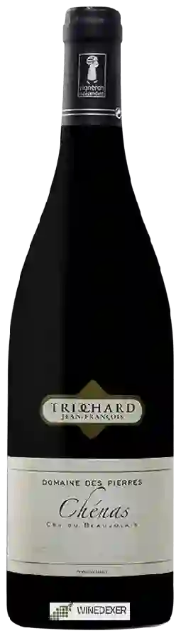 Winery Jean François Trichard - Domaine des Pierres Chénas Winery Jean François Trichard - Domaine des Pierres Chénas
