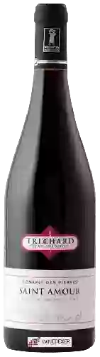 Winery Jean François Trichard - Domaine des Pierres Saint-Amour