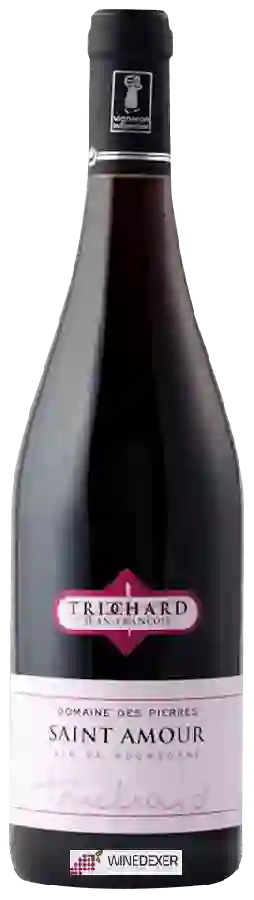 Winery Jean François Trichard - Domaine des Pierres Saint-Amour