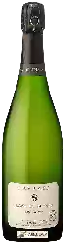 Winery Jean-Louis Denois - Crémant de Limoux Blanc de Blancs Brut Nature