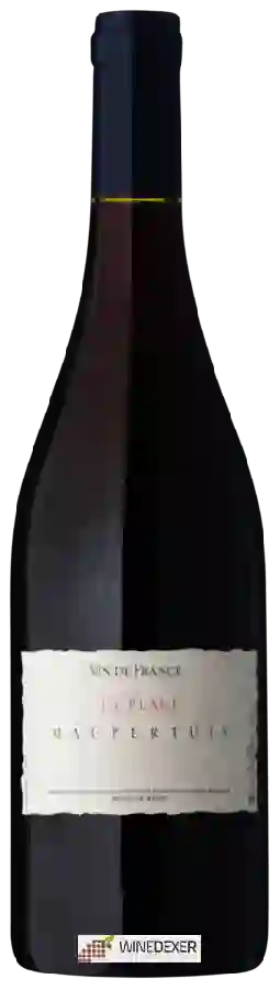 Winery Jean Maupertuis - La Plage