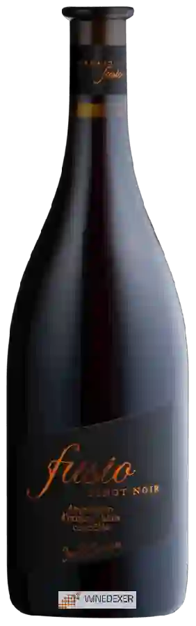 Winery Jean-René Germanier - Fusio Pinot Noir Winery Jean-René Germanier - Fusio Pinot Noir