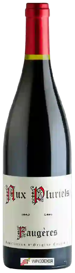 Winery Jeff Carrel - Aux Pluriels Faugères