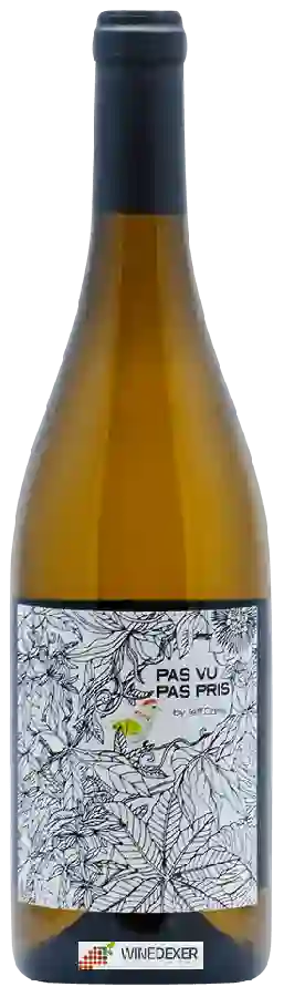 Winery Jeff Carrel - Pas vu Pas Pris