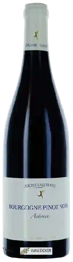 Winery Jerome Galeyrand - Antonin Bourgogne Pinot Noir