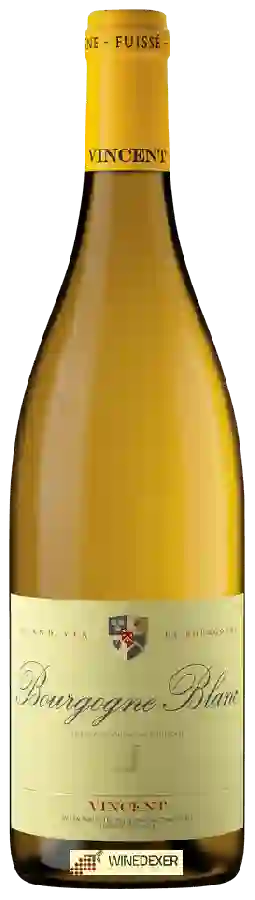 Winery JJ Vincent - Bourgogne Blanc