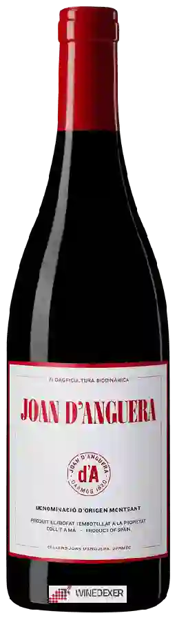 Winery Joan d'Anguera - Montsant Winery Joan d'Anguera - Montsant