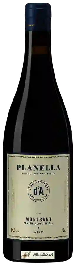 Winery Joan d'Anguera - Planella Winery Joan d'Anguera - Planella