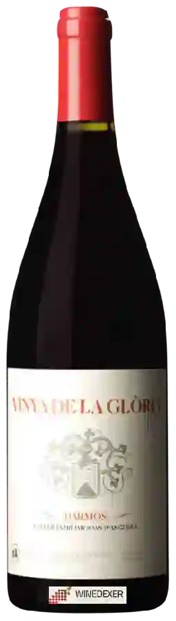 Winery Joan d'Anguera - Vinya de la Gloria Darmós Winery Joan d'Anguera - Vinya de la Gloria Darmós