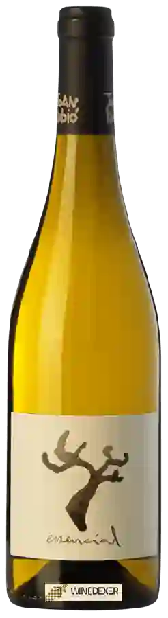 Winery Joan Rubió - Essencial Winery Joan Rubió - Essencial