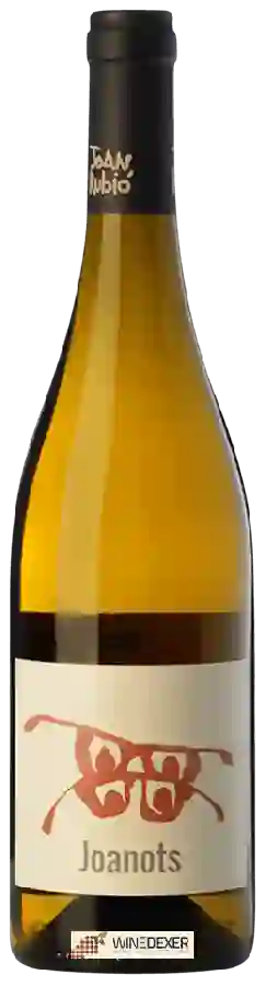 Winery Joan Rubió - Joanots