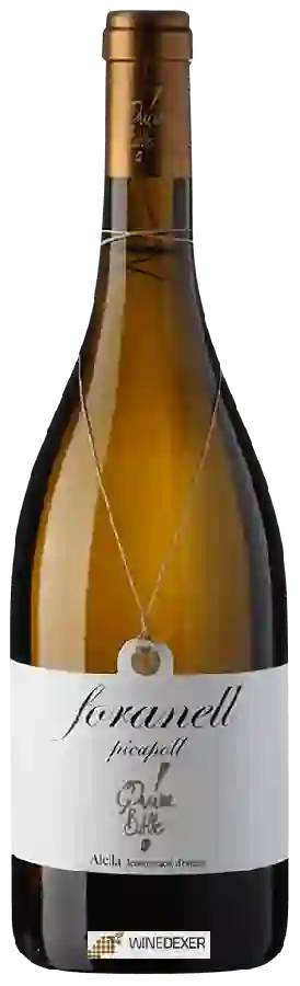 Winery Joaquim Batlle - Foranell Picapoll Winery Joaquim Batlle - Foranell Picapoll