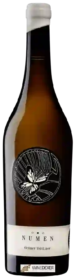 Winery Johannes Zillinger - Numen Grüner Veltliner Winery Johannes Zillinger - Numen Grüner Veltliner
