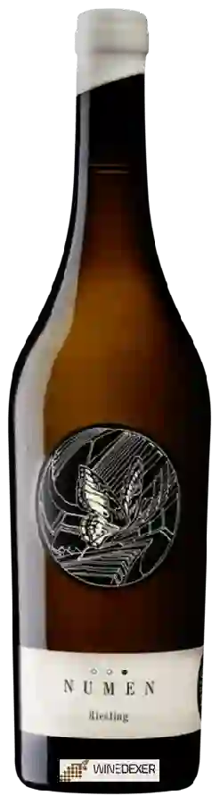 Winery Johannes Zillinger - Numen Riesling Winery Johannes Zillinger - Numen Riesling