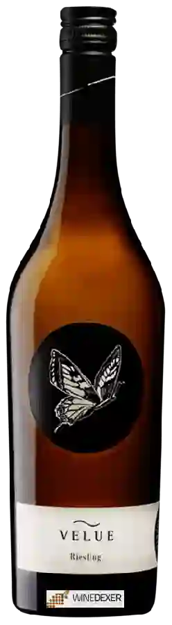 Winery Johannes Zillinger - Velue Riesling