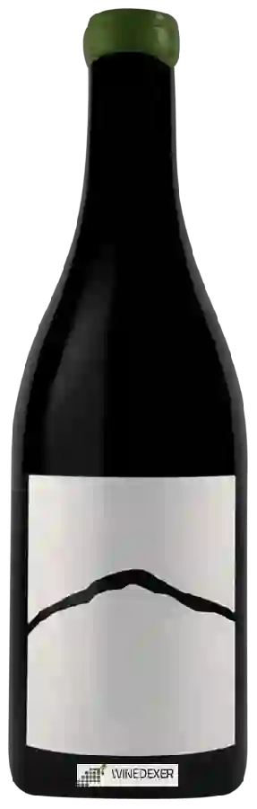 Winery Joiseph - Fogosch Grüner Veltliner Trocken