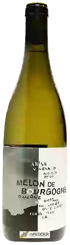 Winery Jolie-Laide - Antle Vineyard Melon