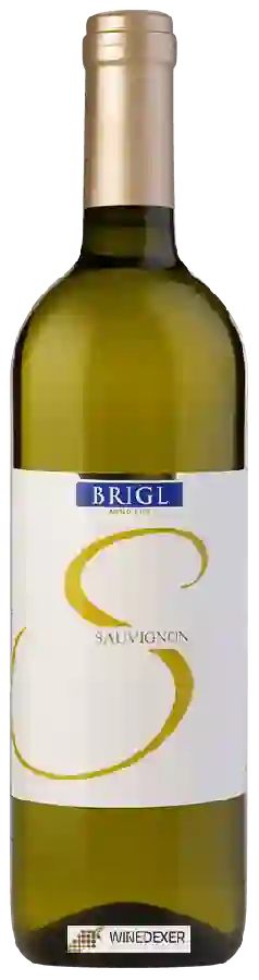 Winery Josef Brigl - Sauvignon Winery Josef Brigl - Sauvignon
