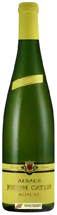 Winery Joseph Cattin - Muscat