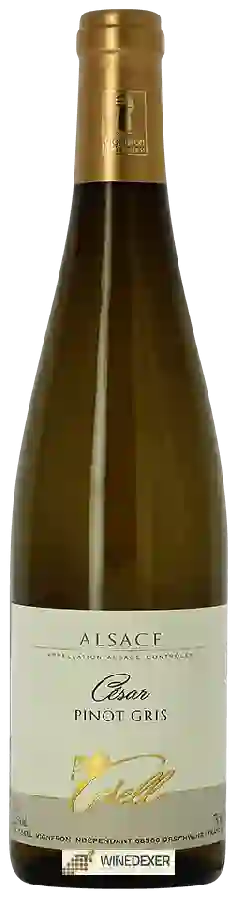 Winery Joseph Gsell - Cuvée César Pinot Gris Winery Joseph Gsell - Cuvée César Pinot Gris