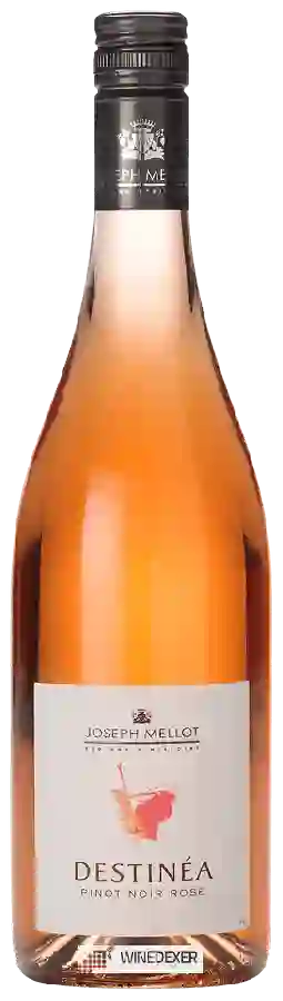 Winery Joseph Mellot - Destinéa Pinot Noir Rosé Winery Joseph Mellot - Destinéa Pinot Noir Rosé