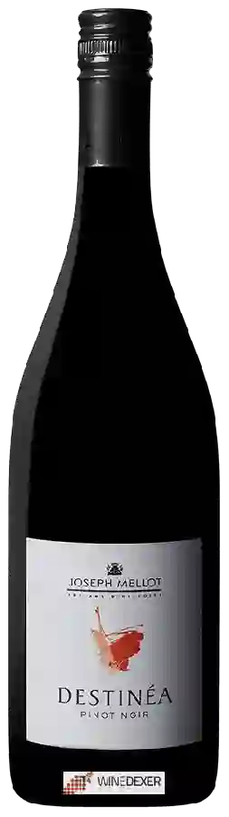 Winery Joseph Mellot - Destinéa Pinot Noir