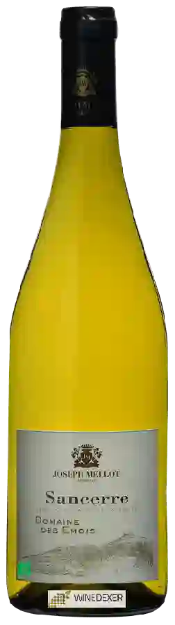 Winery Joseph Mellot - Domaine Des Chaintres Sancerre