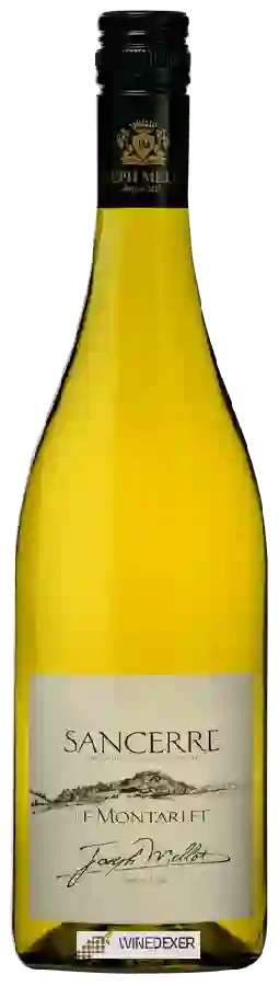 Winery Joseph Mellot - Le Montarlet Sancerre Blanc Winery Joseph Mellot - Le Montarlet Sancerre Blanc